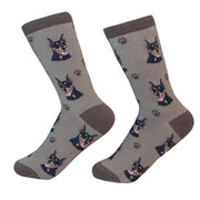 Socks Doberman by Pet Food Warehouse