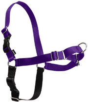 Premier Easy Walk Dog Harness Large Purple by Pet Food Warehouse