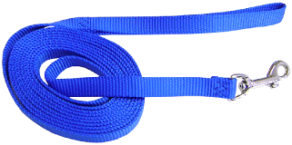 Hamilton Nylon Dog Traing Lead Blue 10' by Pet Food Warehouse
