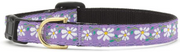 Upcountry Adjustable Safety Cat Collar Daisy 12 by Pet Food Warehouse