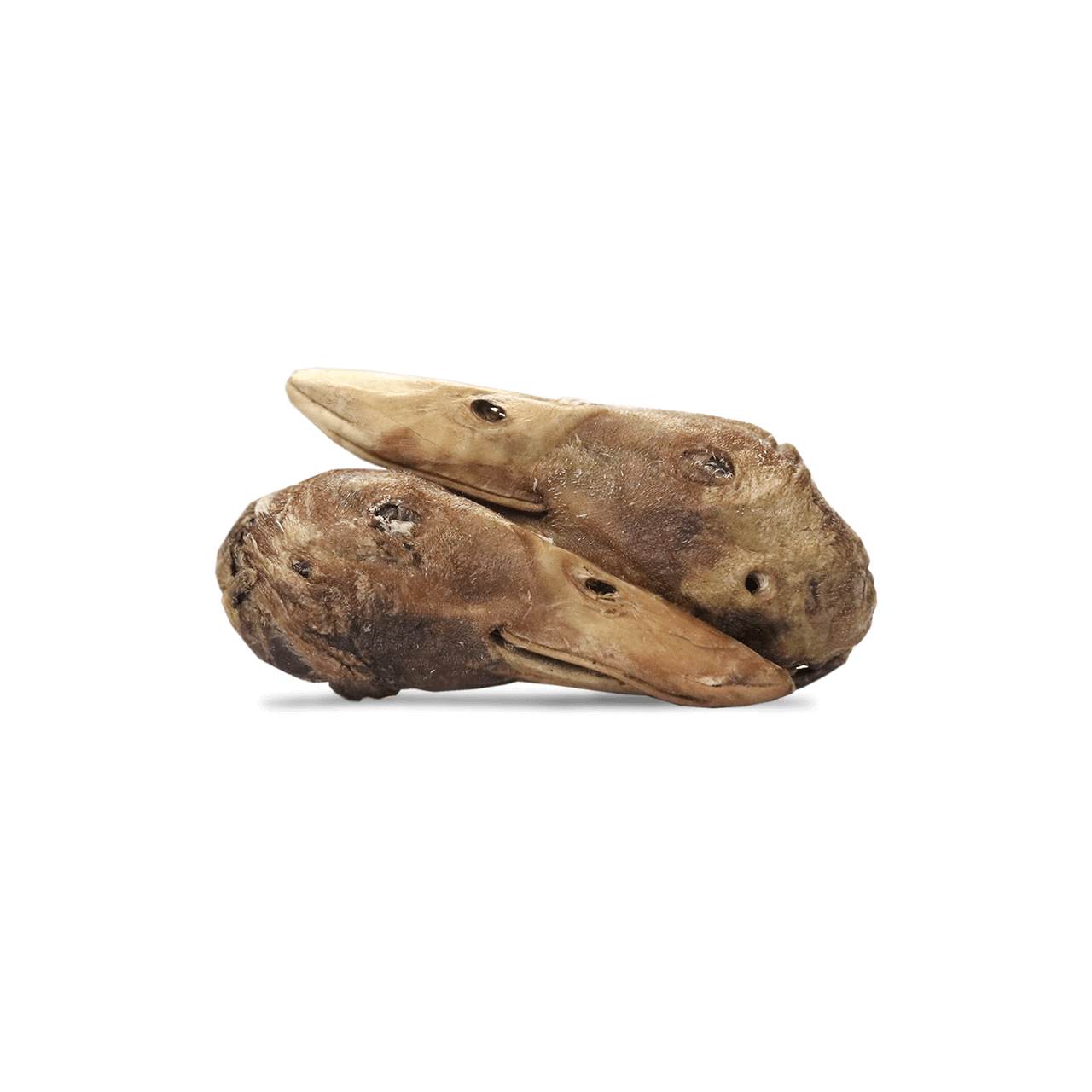 Vital Essentials RAW BAR Freeze-Dried Raw Dog Snacks Duck Heads (20) by Pet Food Warehouse