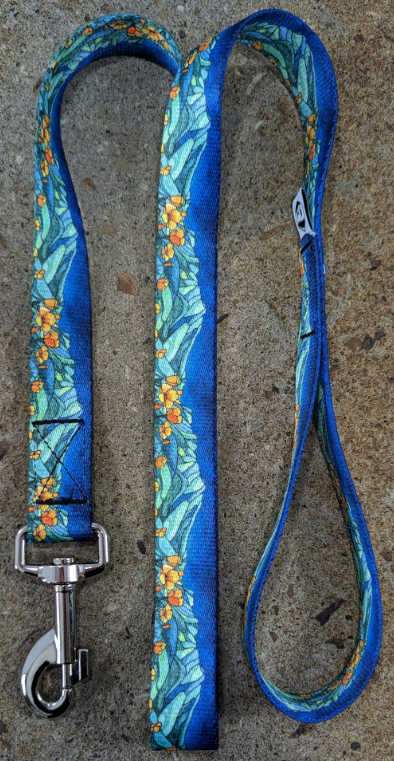 Mtn Straps Lead Mount Tam 6' by Pet Food Warehouse