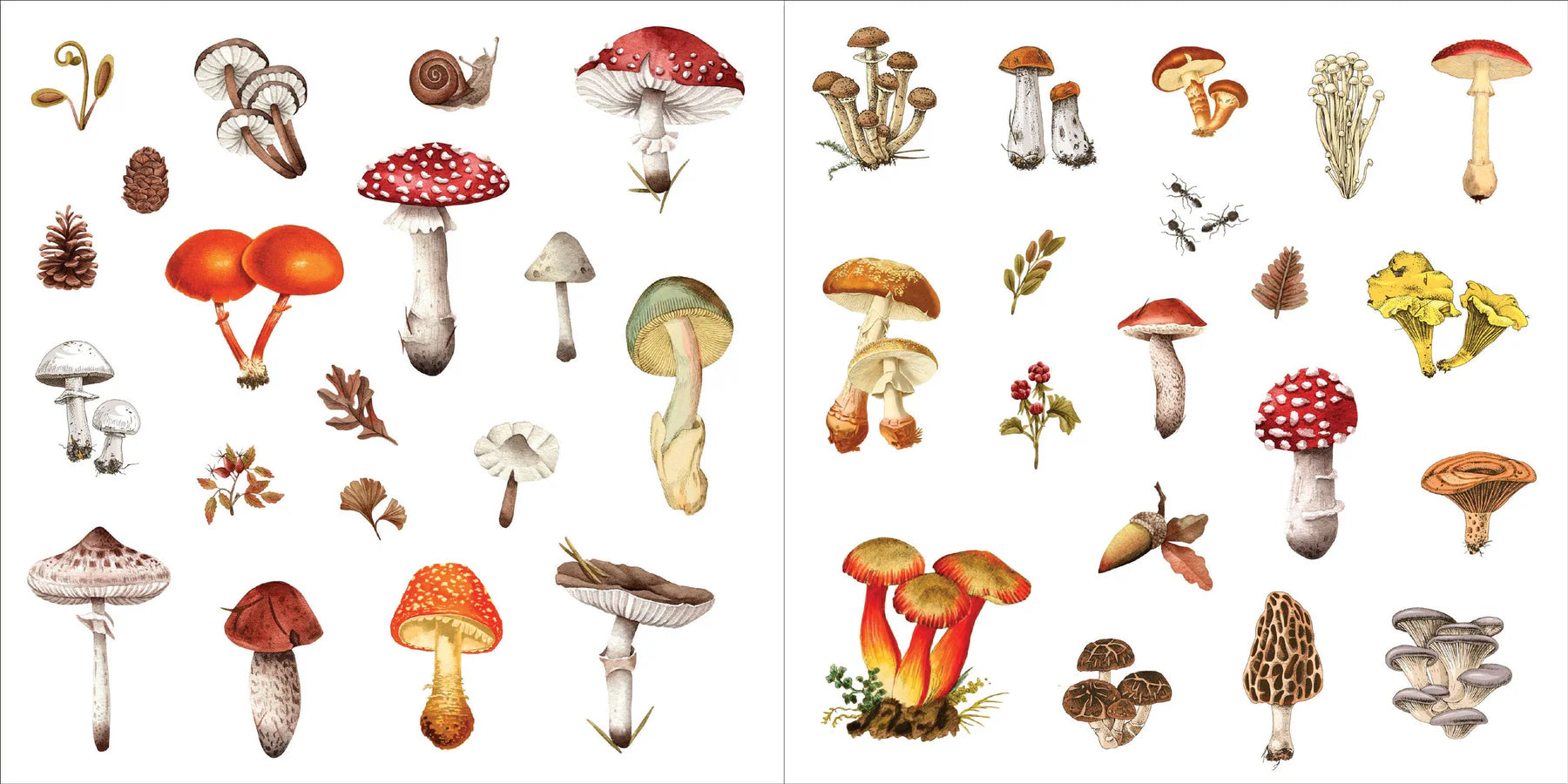 Sticker Book Bunches Of Botanicals by Homeportonline