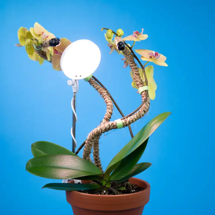 White Adjustable LED Plant Light