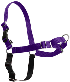 Premier Easy Walk Dog Harness Small/Medium Purple by Pet Food Warehouse