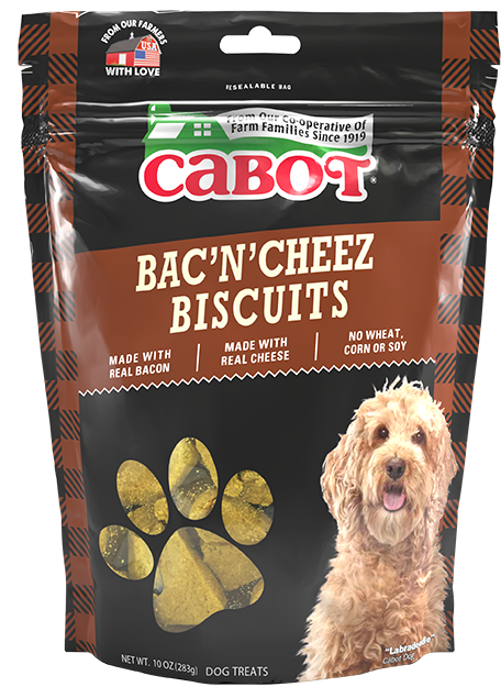 Cabot Bac'n Cheese Biscuits Dog Treat 10oz