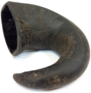 Water Buffalo Horn Medium by Pet Food Warehouse