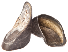 Nature's Own Moo Shoes (Cow Hoof) Dog Treat by Pet Food Warehouse