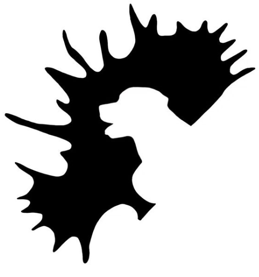 Tasty Tines Moose Antler Beam Split Small by Pet Food Warehouse