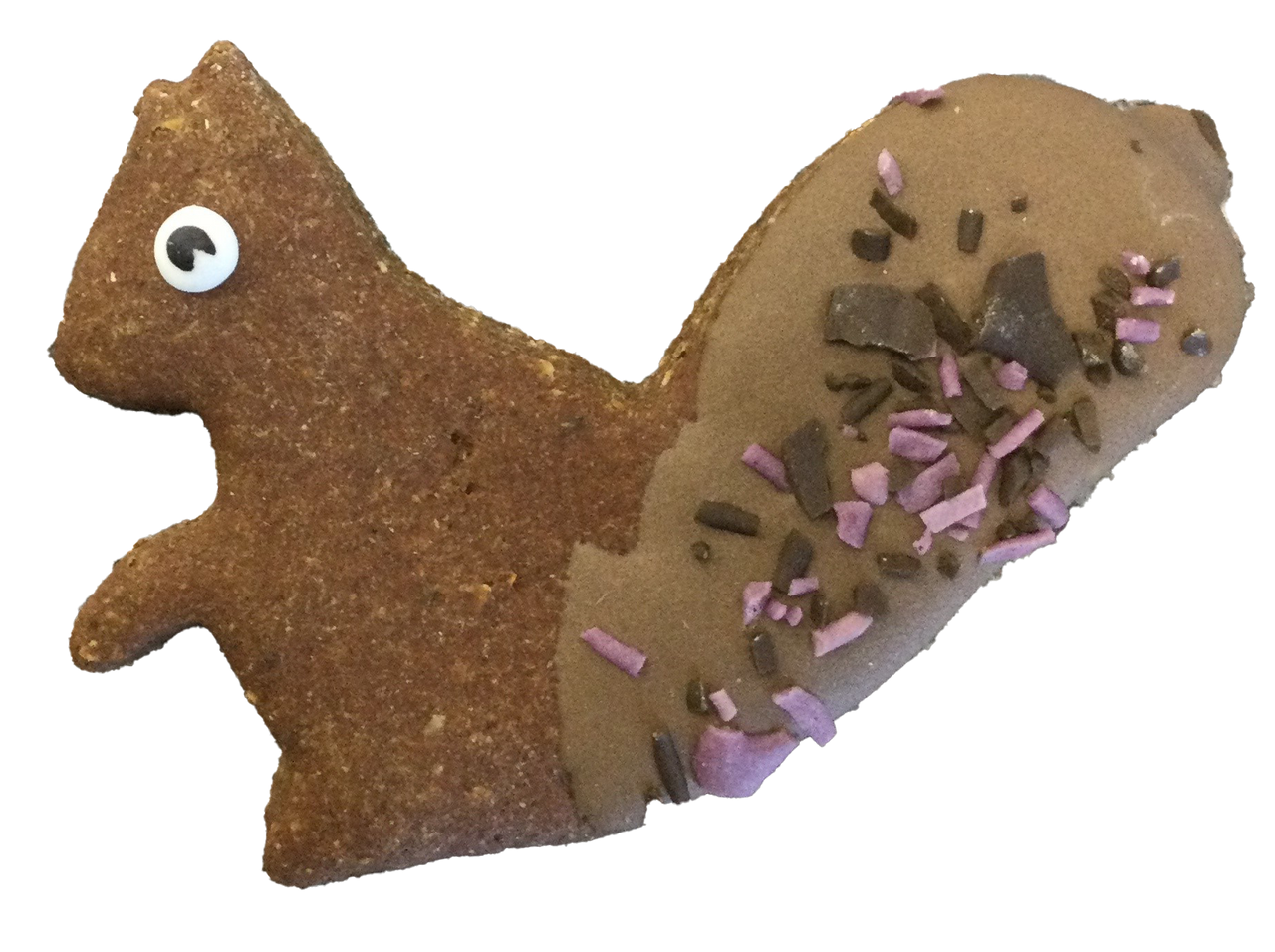 Andy's Dandys Dog Treat Decorated Squirrel by Pet Food Warehouse