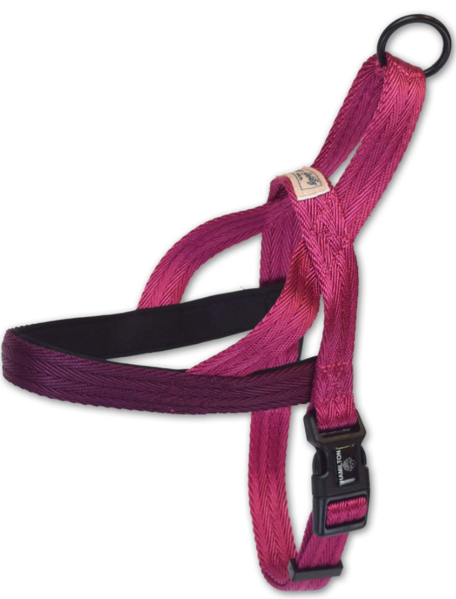 Hamilton Harness Norwegian Wild Berry Rose & Wine 3/4 23-30" by Pet Food Warehouse