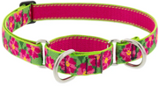 Lupine Combo Collar Petunias 1" 15-22 by Pet Food Warehouse