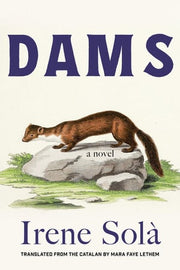 Dams: A Novel