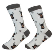 Socks Chihuahua Black by Pet Food Warehouse