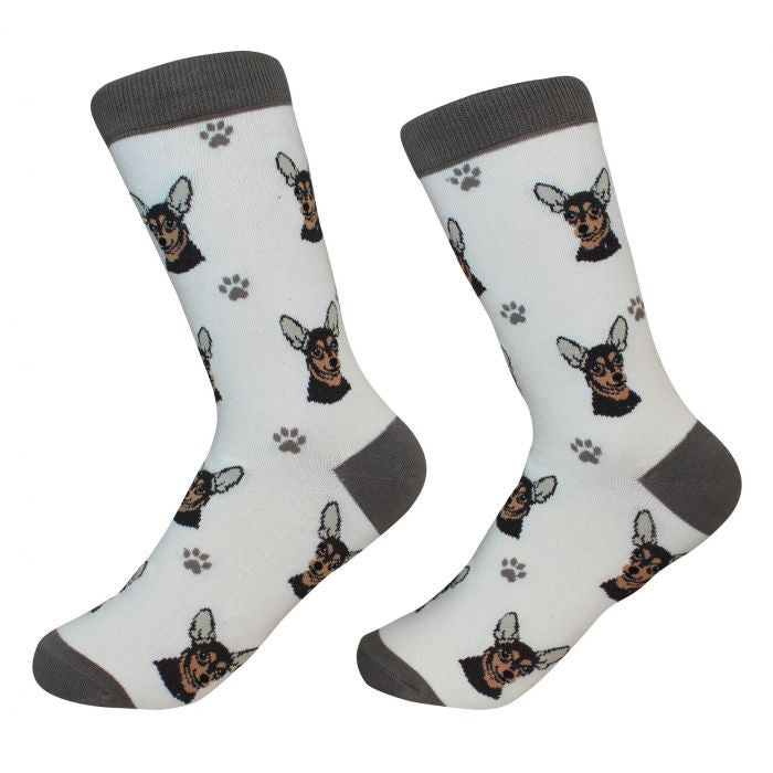 Socks Chihuahua Black by Pet Food Warehouse