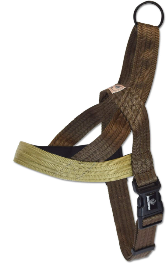 Hamilton Harness Norwegian Woodland Brown & Gold 1 27-34" by Pet Food Warehouse