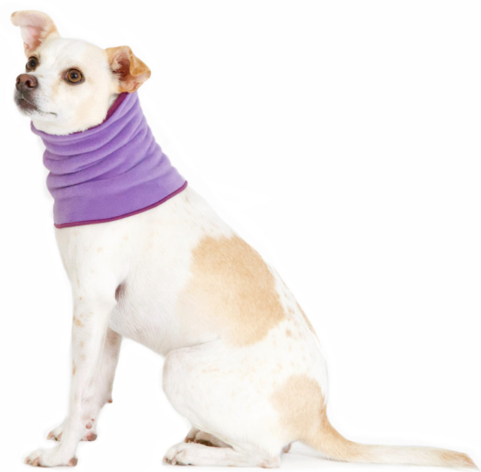 Gold Paw Snood Lavender & Eggplant Small by Pet Food Warehouse