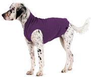 Gold Paw Fleece Huckleberry Size 18 by Pet Food Warehouse