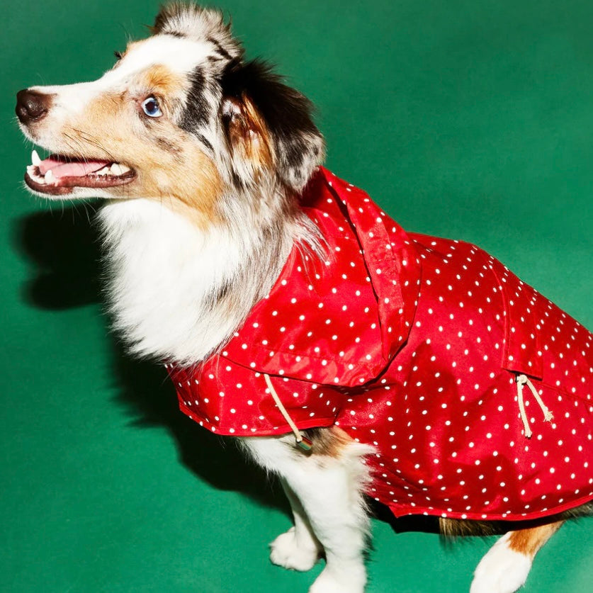 Ware of the Dog Anorak Raincoat by Houndstooth
