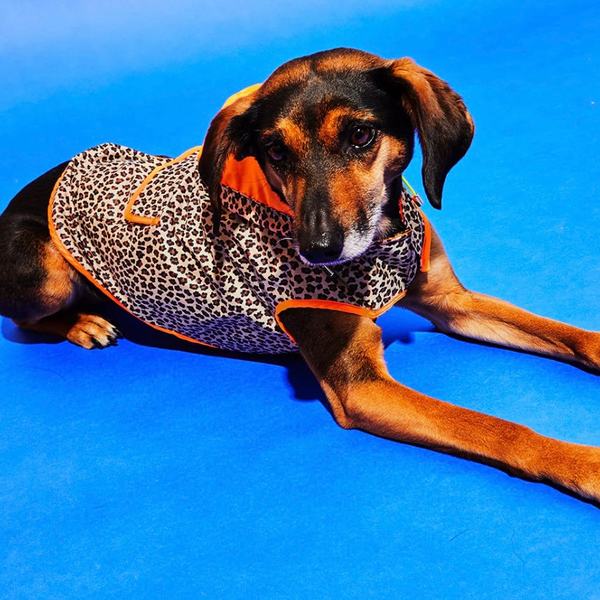 Ware of the Dog Anorak Raincoat by Houndstooth