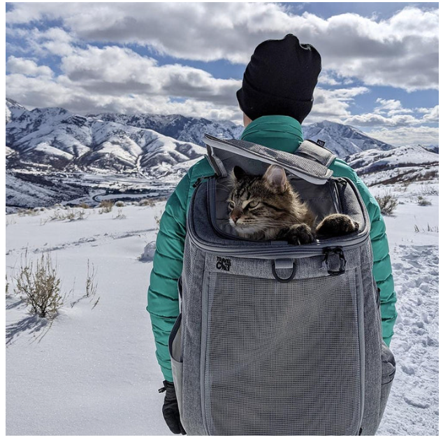 Travel Cat "The Navigator" Convertible Cat Backpack Heather Grey by Pet Food Warehouse