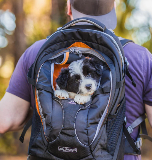 Kurgo G-Train K9 Carrier Back Pack Navy by Pet Food Warehouse
