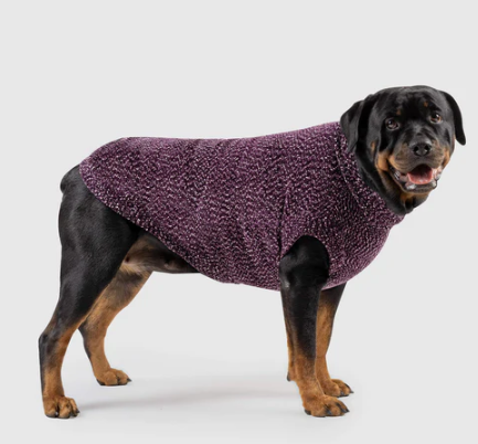Canada Pooch Soho Sweater Magenta Mix Size 18 by Pet Food Warehouse