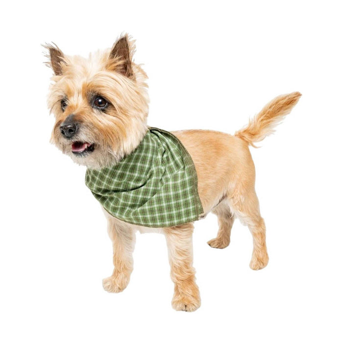 Insect Shield Trail Dog Bandana - Green