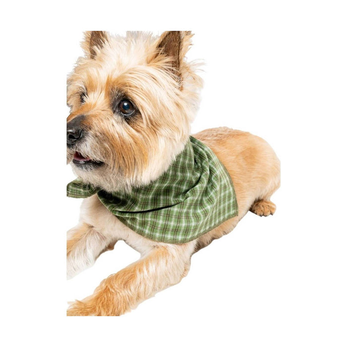 Insect Shield Trail Dog Bandana - Green