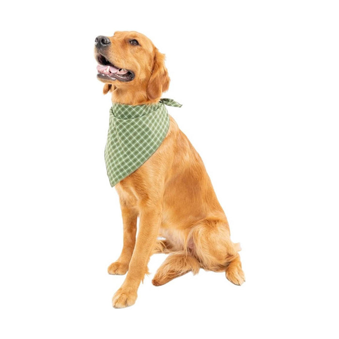 Insect Shield Trail Dog Bandana - Green
