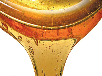 Case of 4 One Gallon Jugs of Pure Vermont Maple Syrup