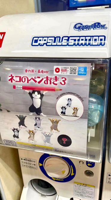 Gashapon Capsule Teen & Up Tough Otter (Sold As An Individual Capsule)