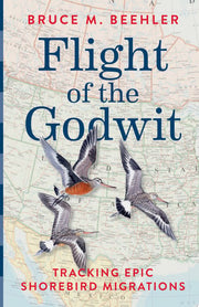 Flight of the Godwit: Tracking Epic Shorebird Migr