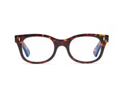 CADDIS Bixby Reading Glasses - Turtle by Harbour Thread