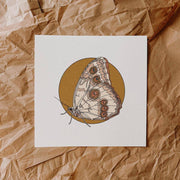 Drawn To Your Light Print by Harbour Thread