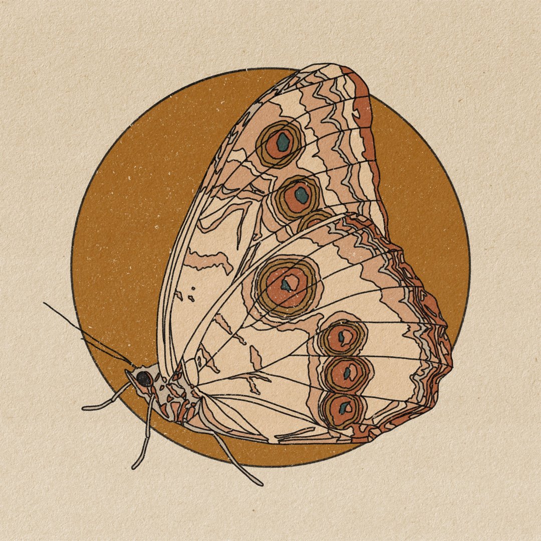 Drawn To Your Light Print by Harbour Thread