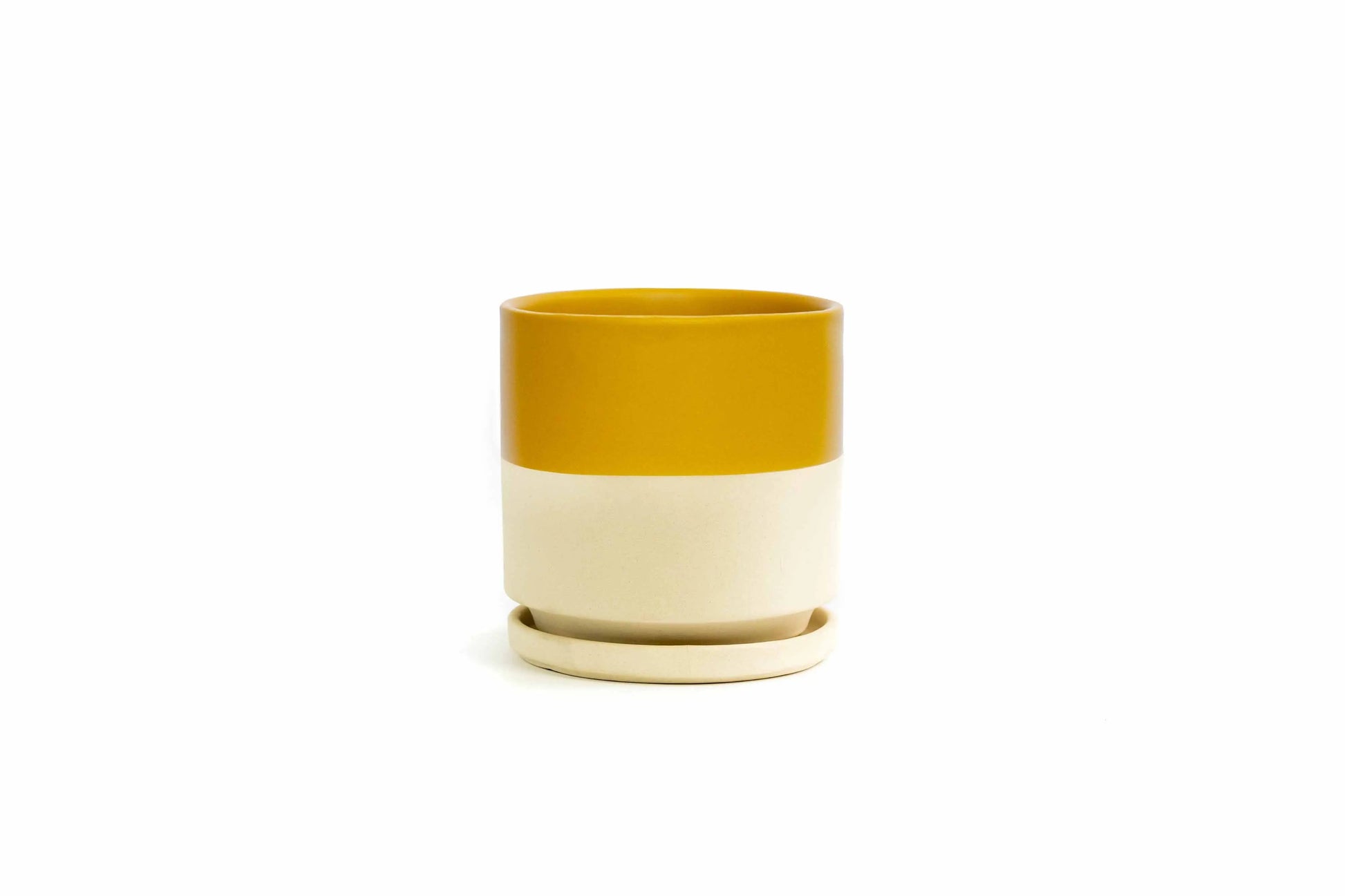 6.5" Gemstone Pot - with Water Saucer by Wild Lark