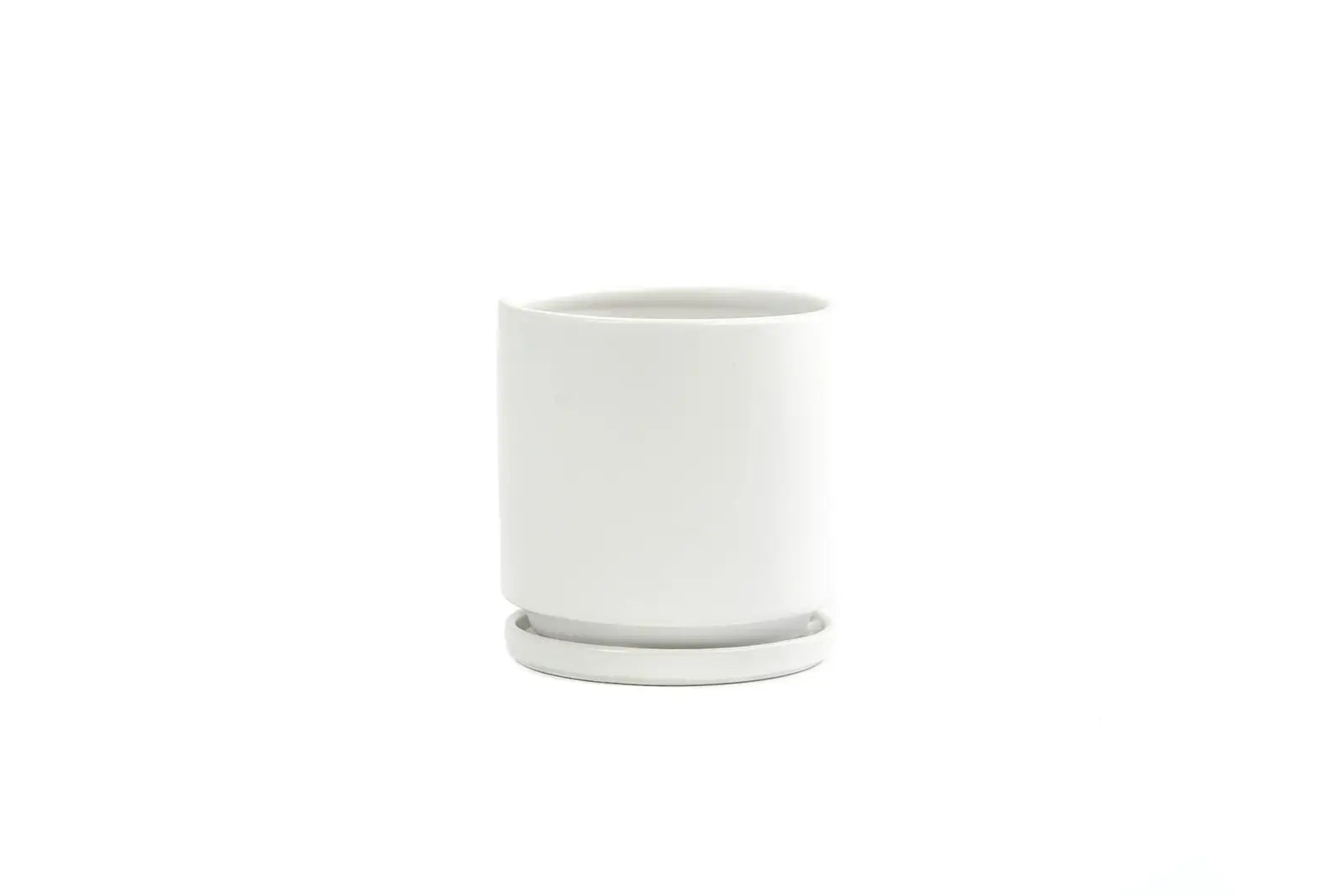 6.5" Gemstone Pot - with Water Saucer by Wild Lark