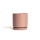 6.5" Gemstone Pot - with Water Saucer by Wild Lark