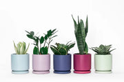 8.25" Fresco Cylinder Pots with Water Saucers by Wild Lark