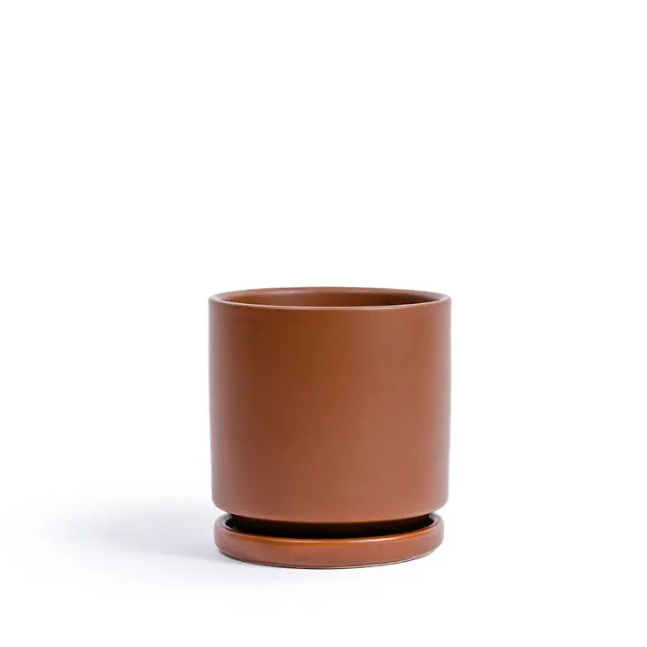 8.25" Fresco Cylinder Pots with Water Saucers by Wild Lark