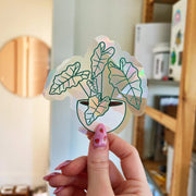 Suncatcher Window Decals by Wild Lark