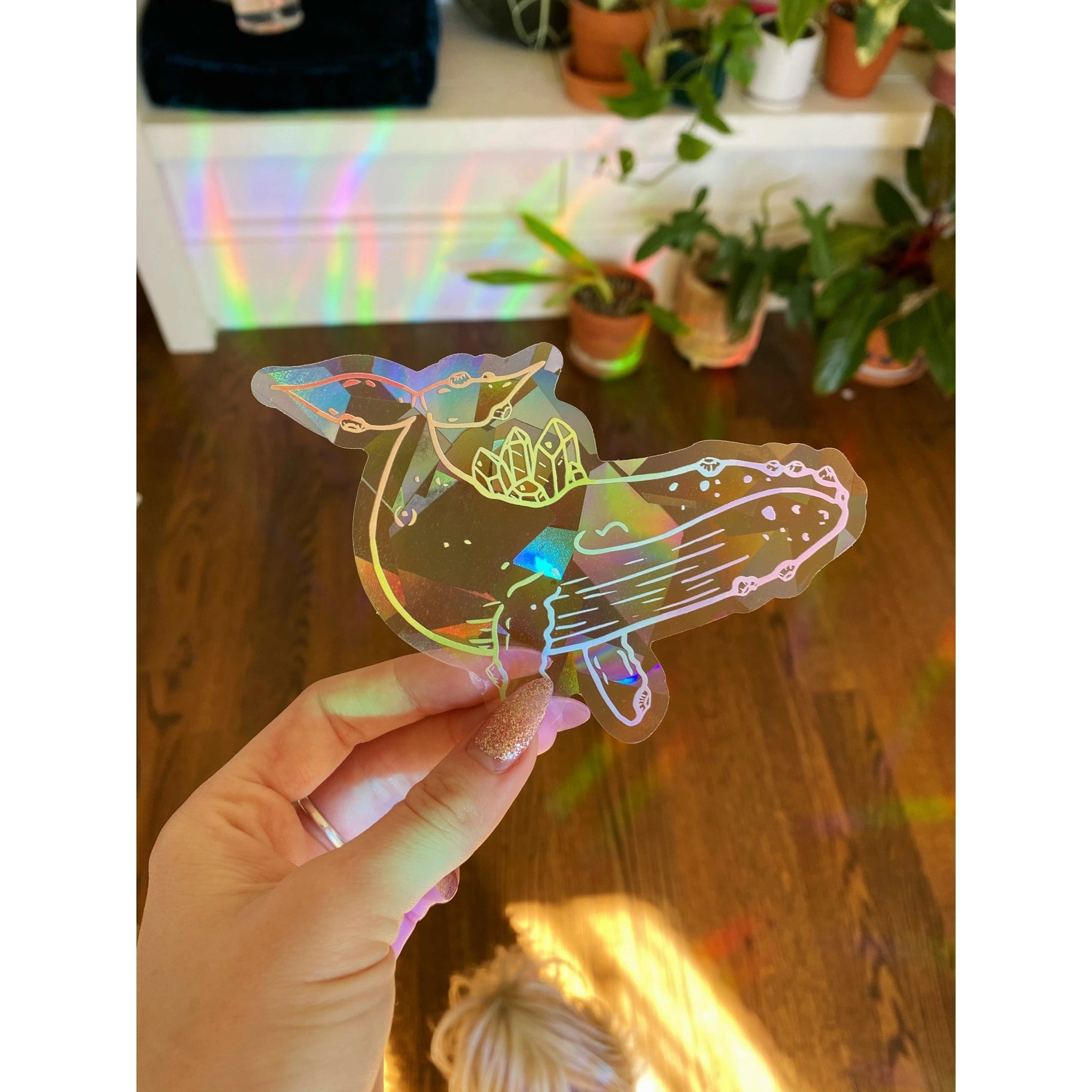 Suncatcher Window Decals by Wild Lark