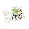 Cat and Plant Stickers by Wild Lark