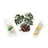 Cat and Plant Stickers by Wild Lark