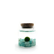 Moss Ball - Rico by Wild Lark