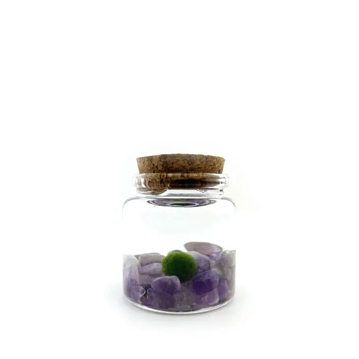 Moss Ball - Rico by Wild Lark