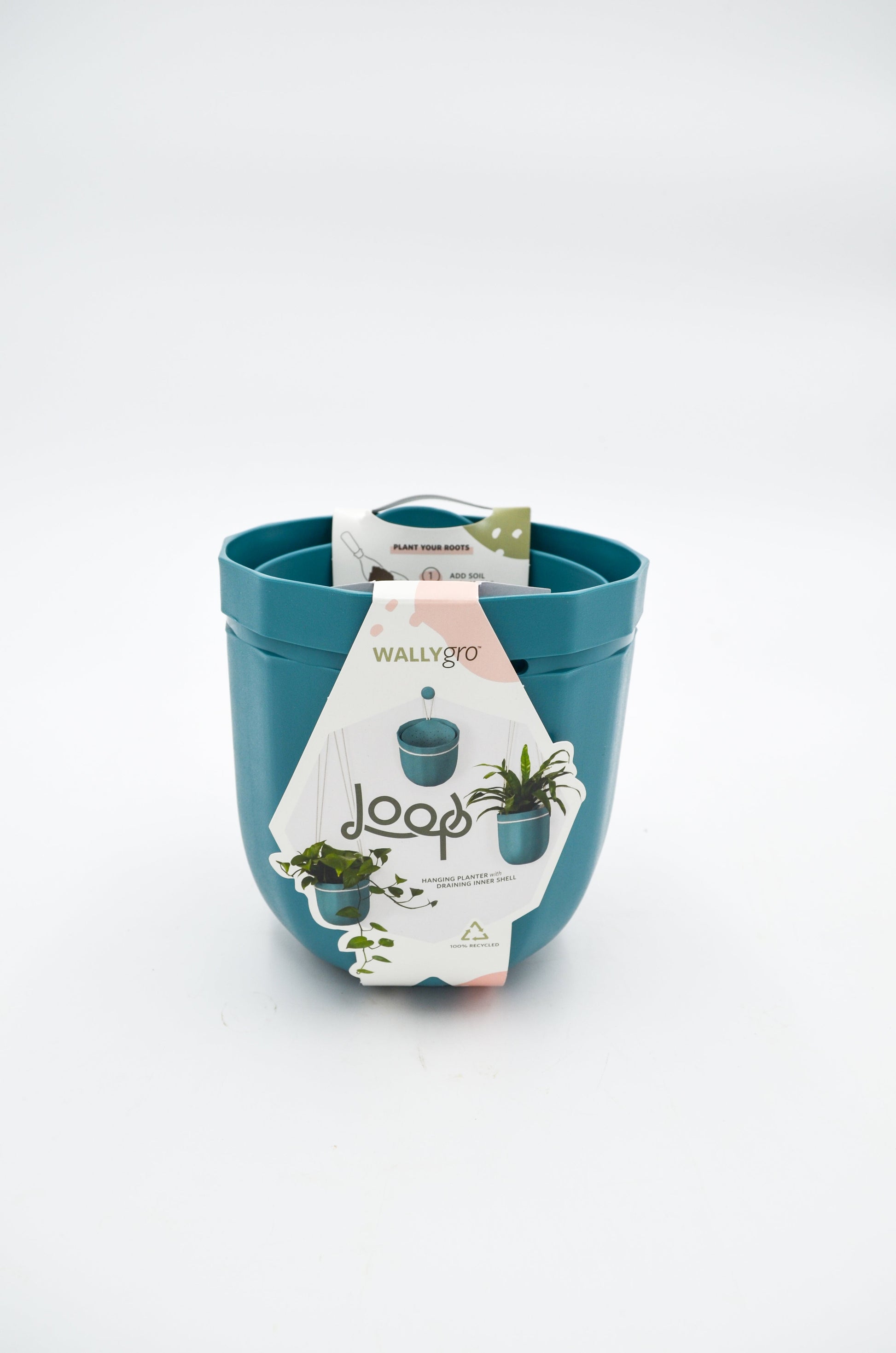 Loop WallyGro Planters (10 Colors Available) by Wild Lark