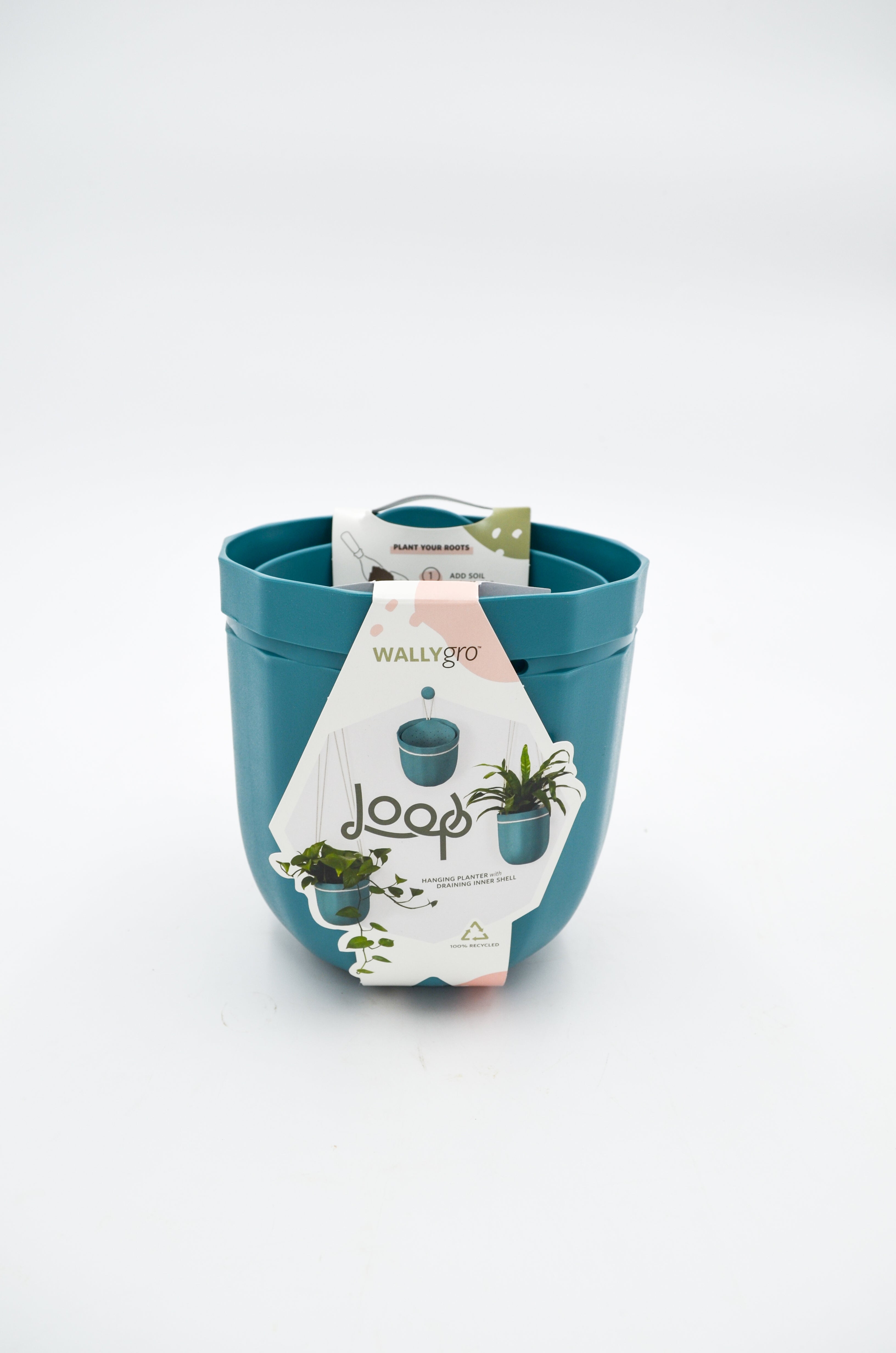 Loop WallyGro Planters (10 Colors Available) by Wild Lark