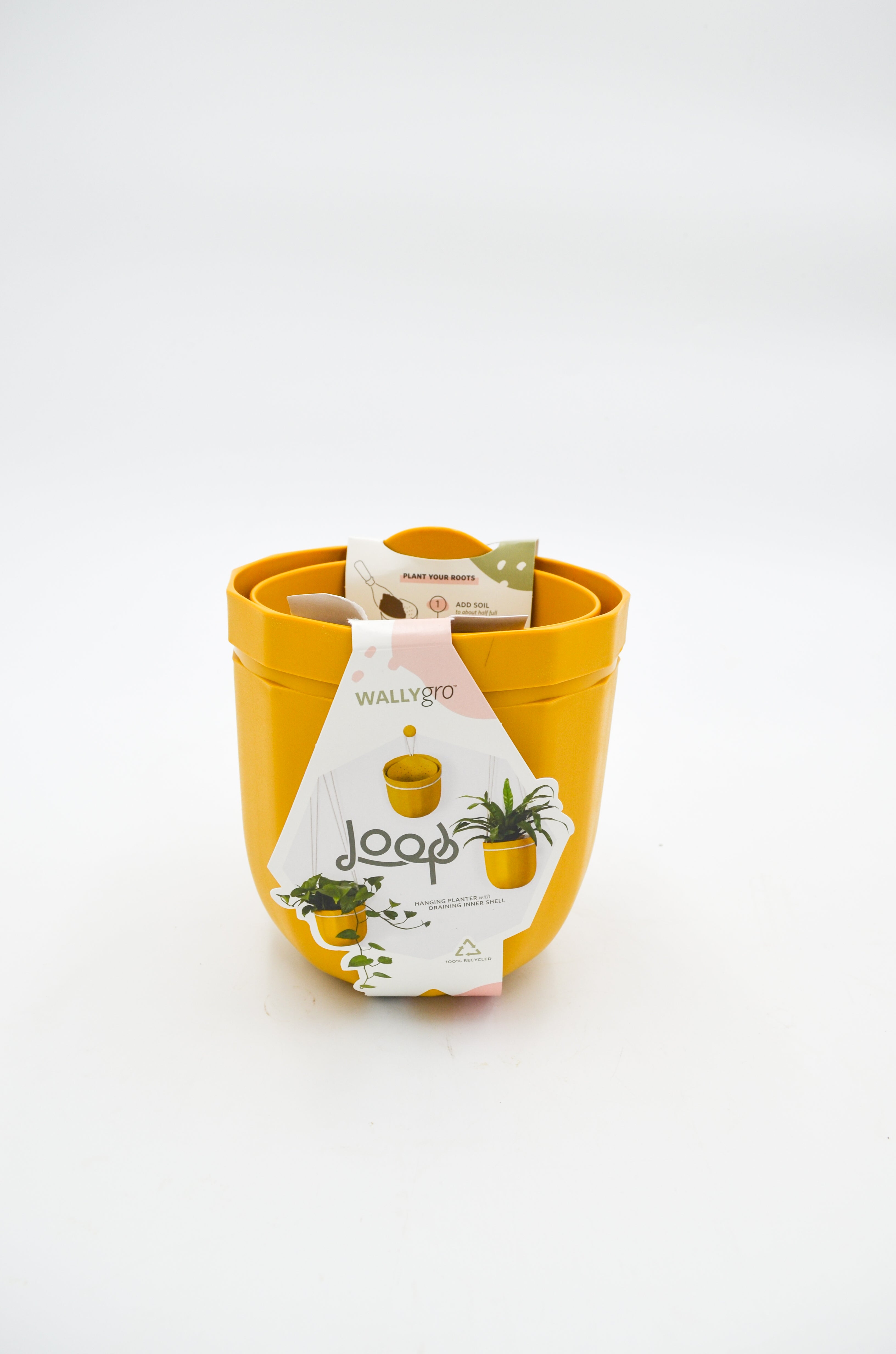 Loop WallyGro Planters (10 Colors Available) by Wild Lark
